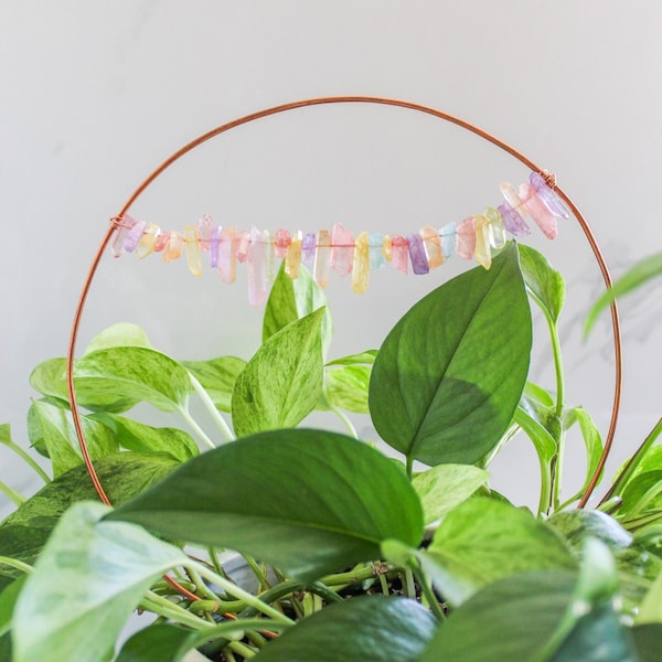 Copper Plant Trellis, Plant Accessories, Vining Plant Support, Hoya Plant Support, Gift for Plant Lovers, Suncatcher, Rainbow Decor