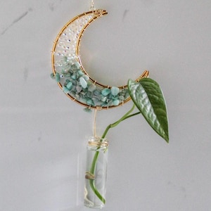 May include: A gold-colored wire crescent moon with clear and turquoise stones, and a small glass vial for a plant. The moon is suspended from a suction cup with a gold chain. A green plant stem and leaf are visible.