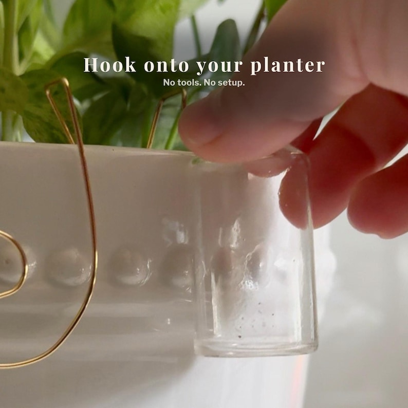 May include: A clear glass vial being hooked onto a white ceramic planter. The text "Hook onto your planter" and "No tools. No setup." is visible. A gold wire plant support is also visible.