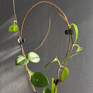 Handcrafted Teardrop Copper Plant Trellis: Minimalist Plant Support