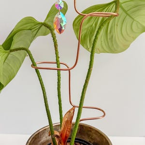 Flamingo Plant Support: Copper Trellis with Crystal Suncatcher