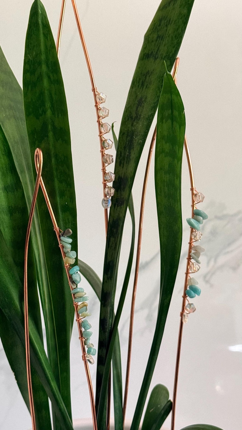 May include: Copper wire plant stakes adorned with small, colorful gemstones. The stakes are inserted into a green plant with long, pointed leaves. The gemstones are various shades of blue, clear, and white.