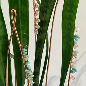 May include: Copper wire plant stakes adorned with colorful gemstones and clear crystals. The stakes are placed in a snake plant with long, green leaves. The gemstones are various sizes and shapes, adding a decorative touch to the plant.