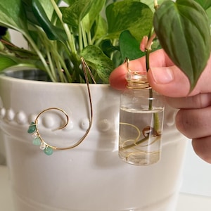 May include: A white ceramic plant pot with a gold wire plant support. A small glass vial with a plant cutting is held near the pot. The plant has green and yellow leaves.