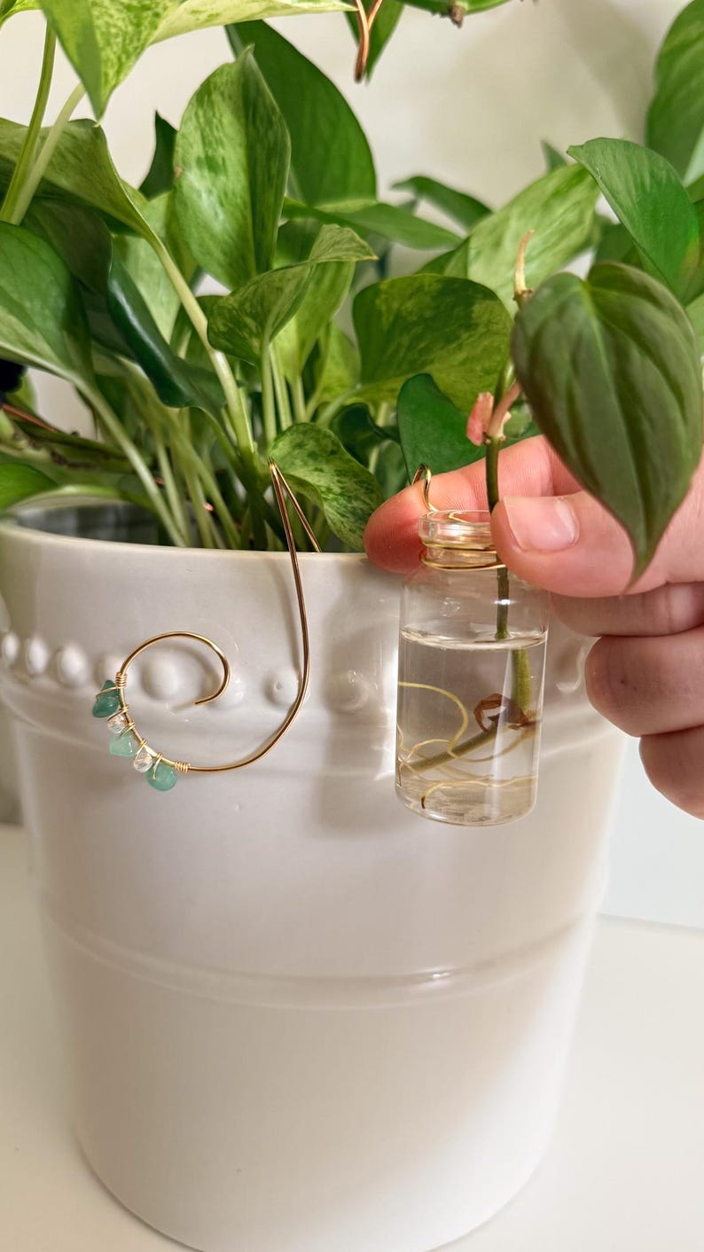 May include: A white ceramic plant pot with a gold wire plant support. A small glass vial with a plant cutting is held near the pot. The plant has green and yellow leaves.
