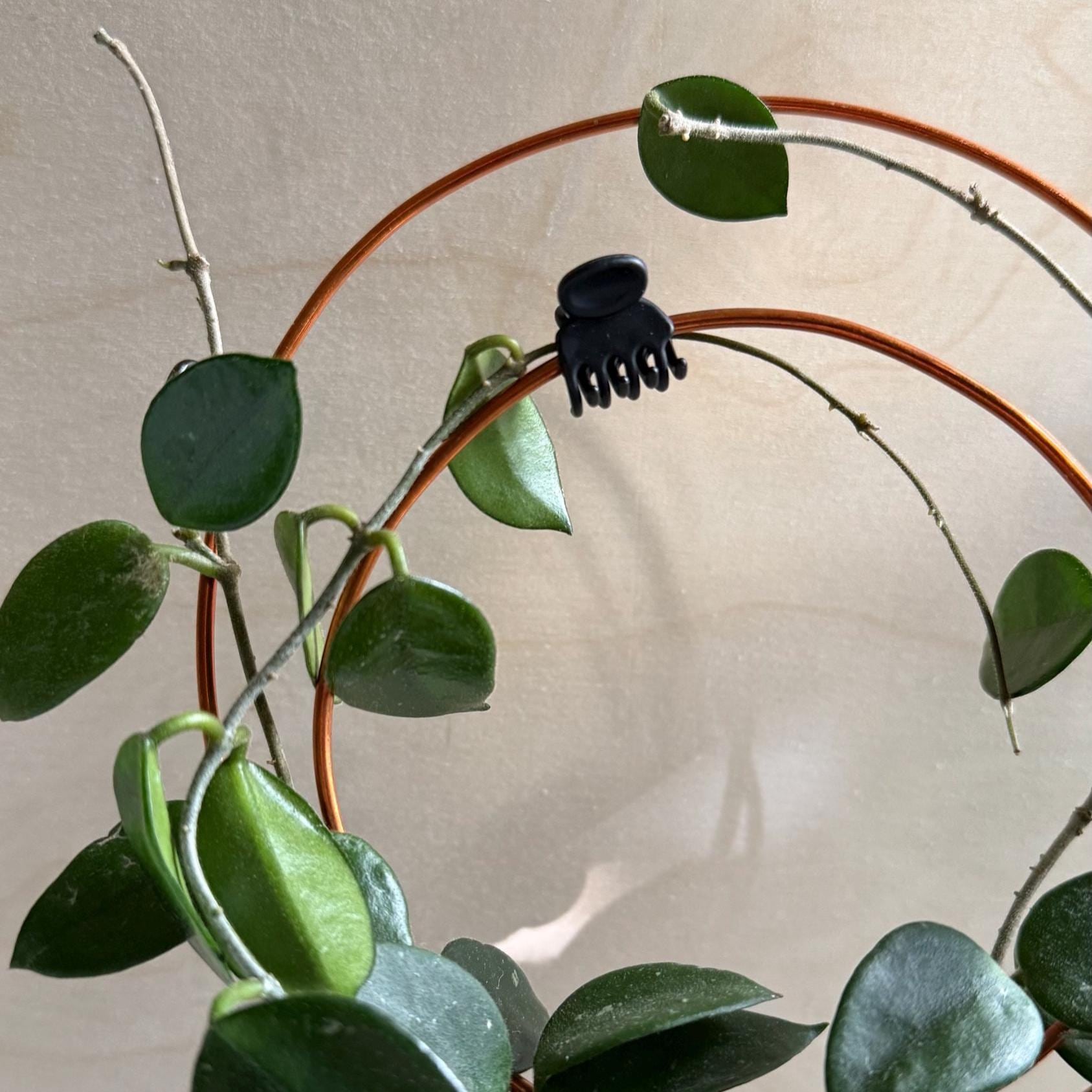 Handmade Copper Hoop Plant Trellis: Adjustable Vining Support