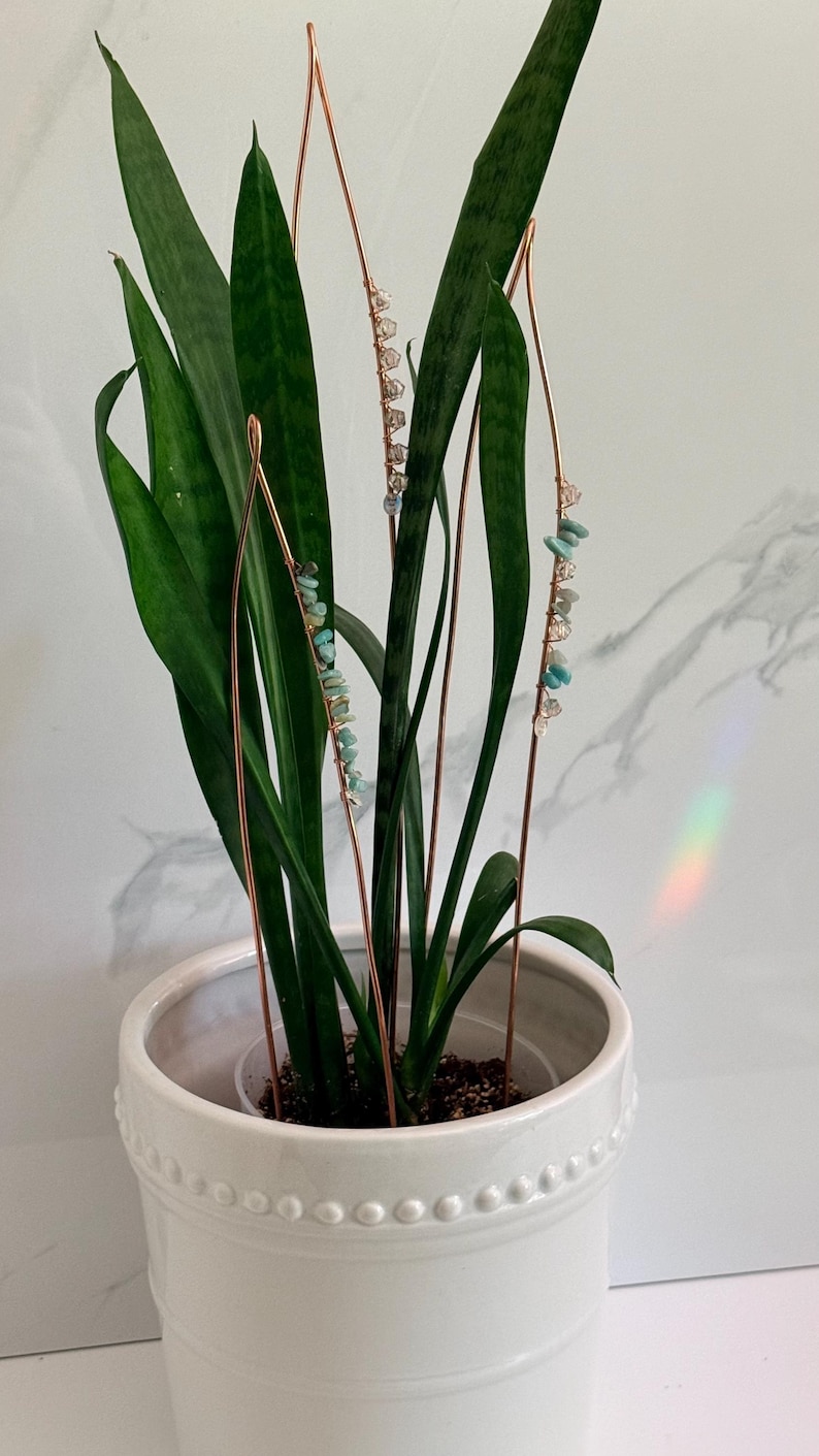 May include: A potted snake plant with copper wire accents adorned with small, light blue and clear gemstones. The plant is in a white ceramic pot with a beaded design. The background is a white marble wall.
