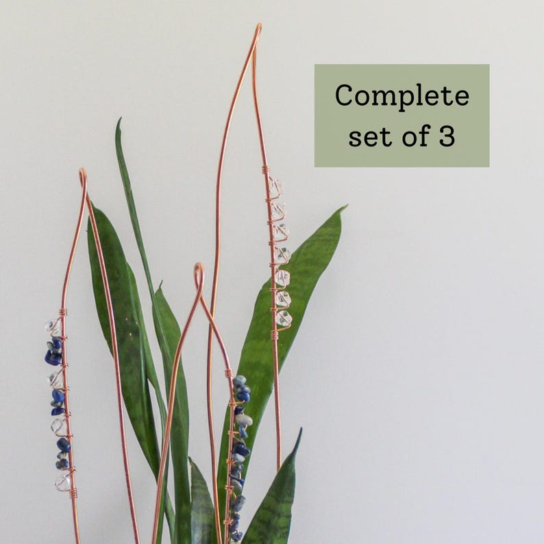 May include: Three copper wire plant stakes with clear and blue beads, displayed with green snake plant leaves. The text "Complete set of 3" is in a green rectangle. The stakes add a decorative touch to indoor plants.