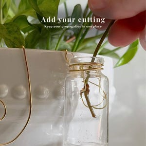 May include: A clear glass propagation jar with a gold wire wrapped around the neck, holding a plant cutting. The text "Add your cutting" and "Keep your propagation in one place" is visible. The jar is suspended near a white ceramic pot with green foliage.