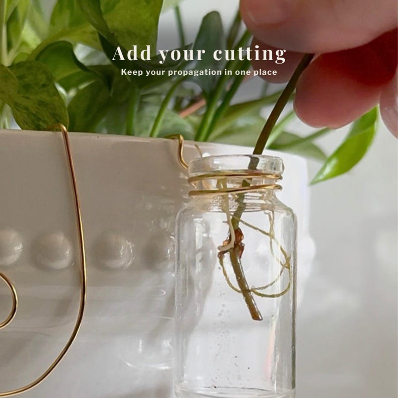 May include: A clear glass propagation jar with a gold wire wrapped around the neck, holding a plant cutting. The text "Add your cutting" and "Keep your propagation in one place" is visible. The jar is suspended near a white ceramic pot with green foliage.