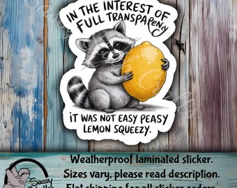 In full transparency it was not easy peasy sticker | Waterbottle Stickers | Journal Stickers | Planner Stickers  | funny adult stickers