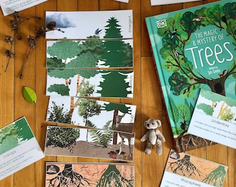 Forest Layers Cards and Puzzle | Temperate Forest | Nature Study | Mini Unit | Home School | Trees | Ecosystem | Kindergarten