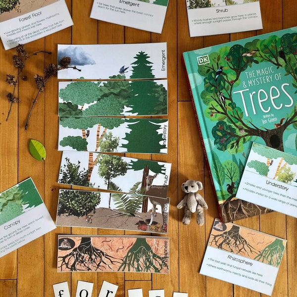 Forest Layers Cards and Puzzle | Temperate Forest | Nature Study | Mini Unit | Home School | Trees | Ecosystem | Kindergarten