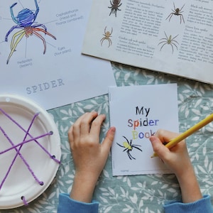 Spider Learning Bundle | Nature Study | Mini Unit | Home School | Printable PDF | Fall | Autumn | Kindergarten