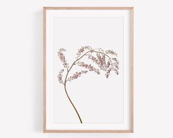 Plant print, wall art, botanical print, A4 print, A3 print