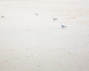 Beach Life Photo Print