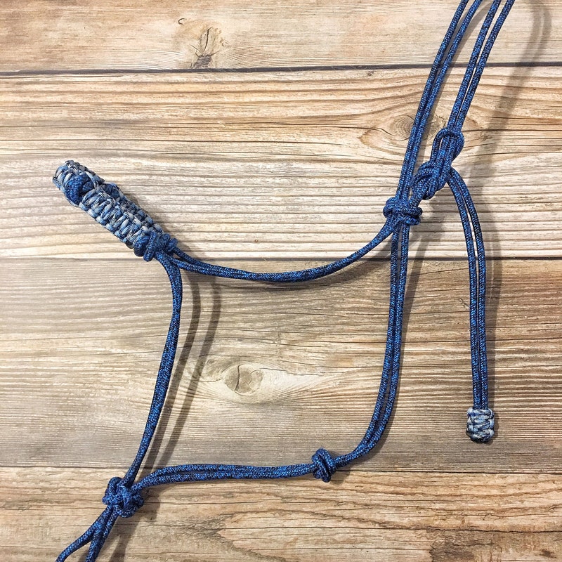Rainbow Rope Horse Halter - Etsy