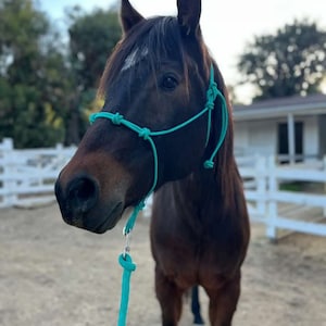 Custom Rope Halter & 12 Foot Lead Rope with Snap, Yacht Rope Halter, Horse Halter, Clinician Halter, Clinician Lead Rope