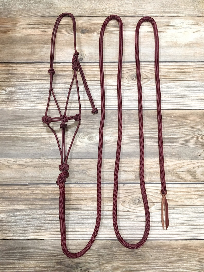 Custom Rope Halter & 12 Foot Attached Lead Rope Yacht Rope Etsy Australia