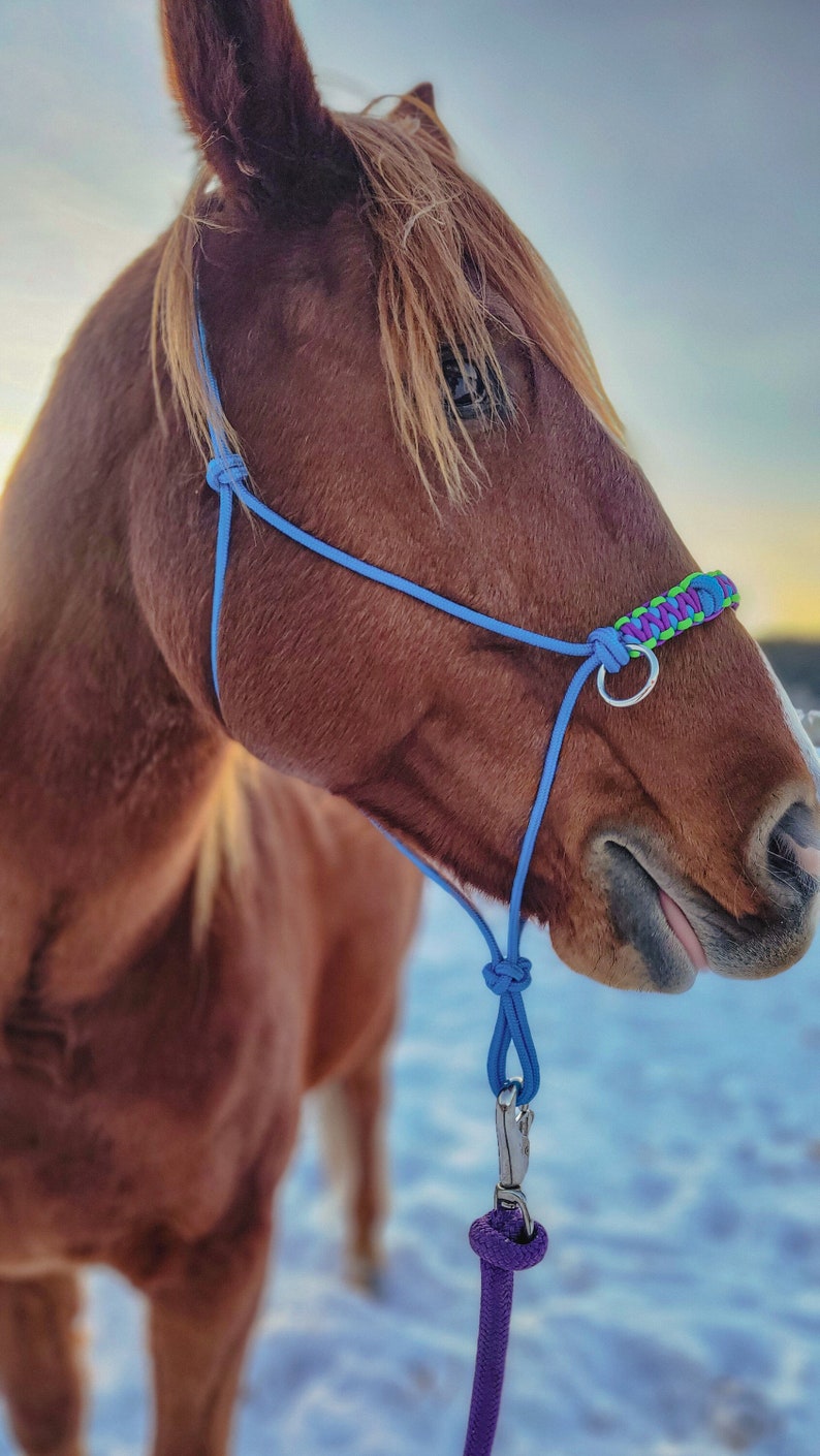 Custom Sidepull Rope Halter with Braided Noseband, Bitless Bridle, Rope Halter, Yacht Rope Halter, Sidepull Halter, Riding Halter image 6