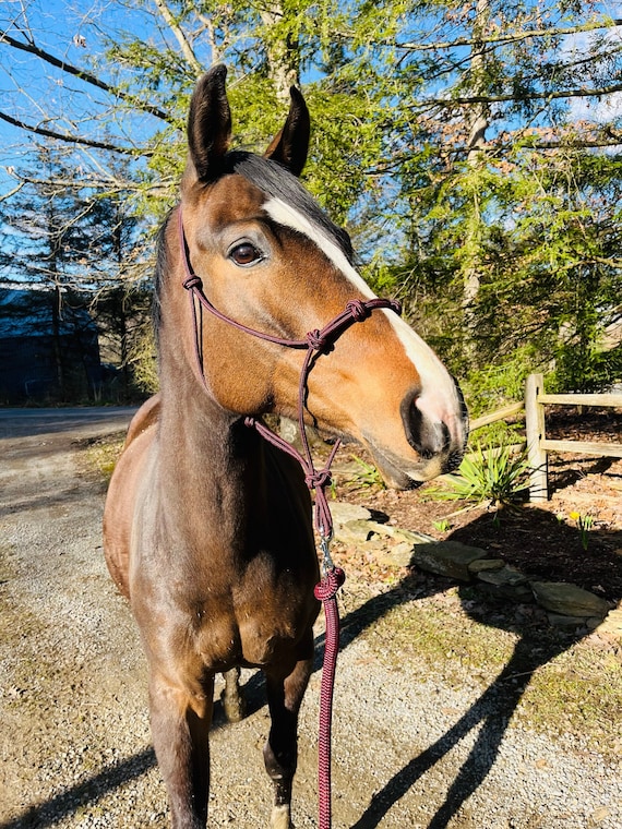 Support étagère corde naturelle | Leroy Merlin
