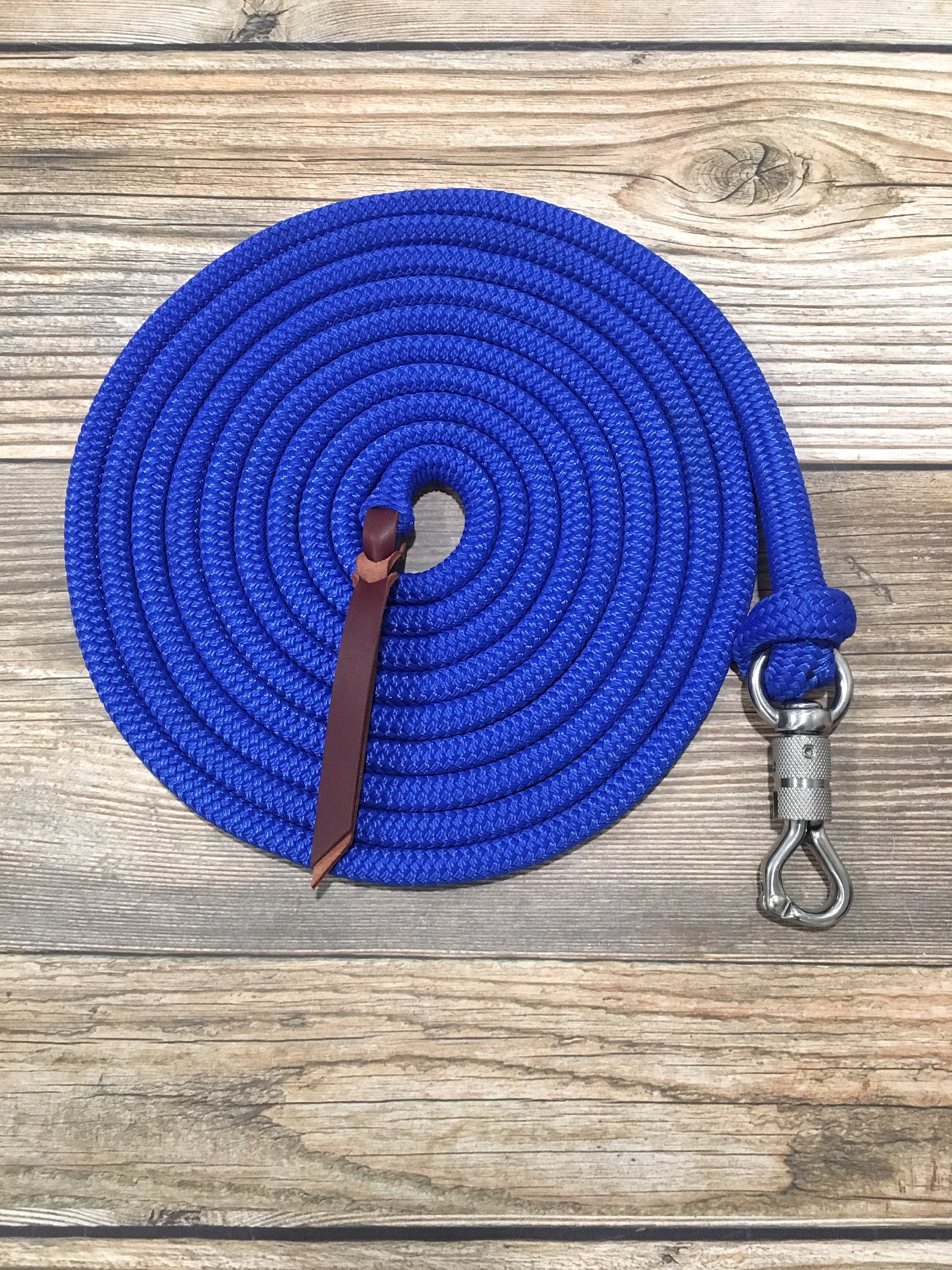 Corde de plomb pour cheval en cuir avec ​ ​ Chaîne