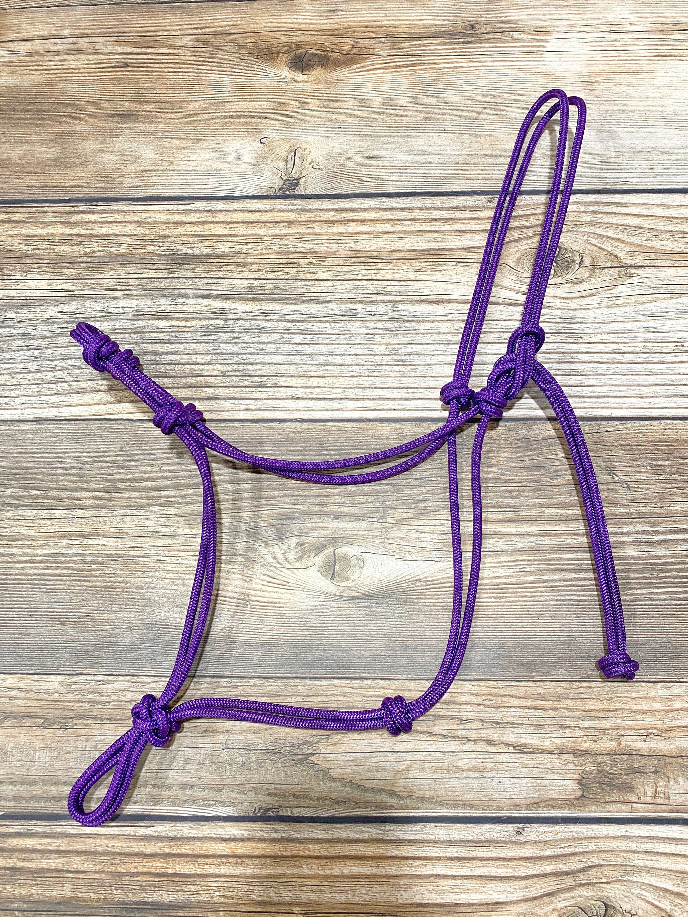 SALE Overstock 2 or 4 Knot Rope Halter, Yacht Rope Halter, 4 Knot Halter, Rope Halter, Horse Halter, Clinician Halter