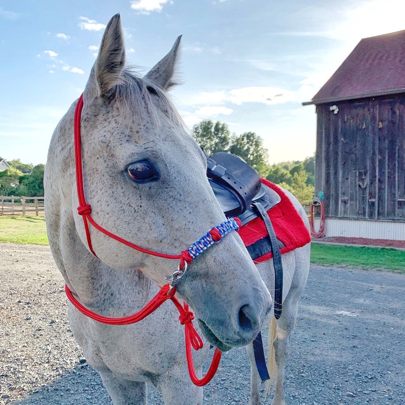 Custom Sidepull Rope Halter with Braided Noseband, Bitless Bridle, Rope Halter, Yacht Rope Halter, Sidepull Halter, Riding Halter image 5