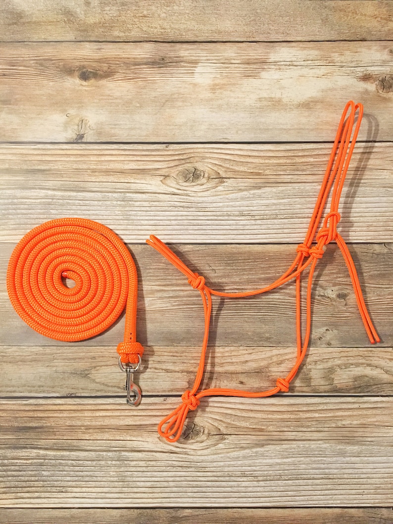 Custom Rope Halter & 12 Foot Lead Rope With Snap Yacht Rope Etsy