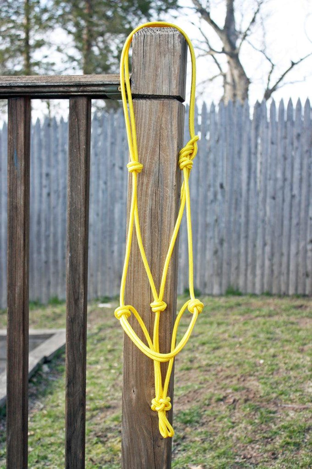 Yellow Rope Halter Custom Soft 2 Knot Rope Halter, Clinician Rope Halter, Soft Yacht Rope ...