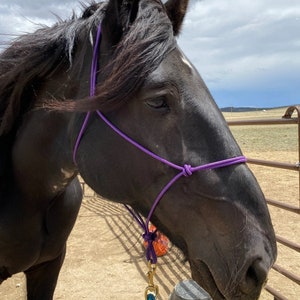 Custom 2 Knot Rope Halter, Clinician Rope Halter, Yacht Rope Halter ...