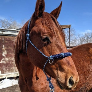 Custom Sidepull Rope Halter with Braided Noseband, Bitless Bridle, Rope Halter, Yacht Rope Halter, Sidepull Halter, Riding Halter image 4