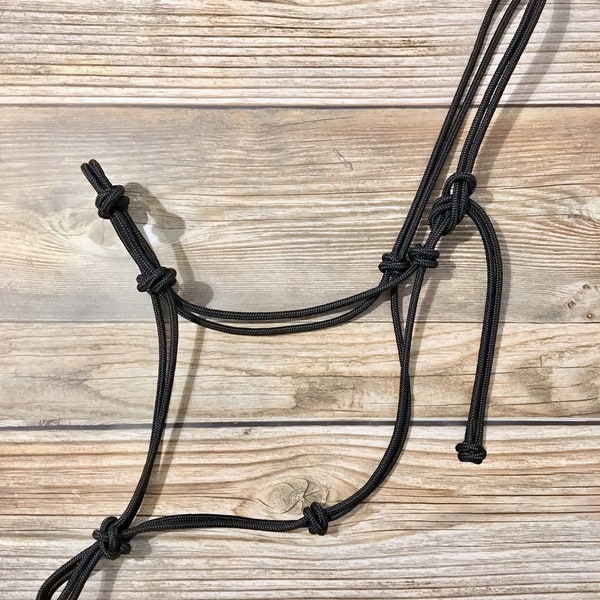 VENTA Overstock Halter de cuerda de 2 o 4 nudos, Halter de cuerda de yate, Halter de 4 nudos, Halter de cuerda, Halter de caballo, Halter de médico