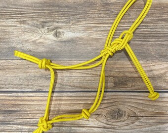 Mini Yellow 2 Knot Rope Halter, Mini Rope Halter, Clinician Halter, Yacht Rope Halter