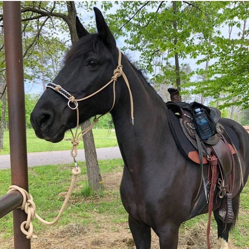 Custom Sidepull Rope Halter with Braided Noseband, Bitless Bridle, Rope Halter, Yacht Rope Halter, Sidepull Halter, Riding Halter image 3