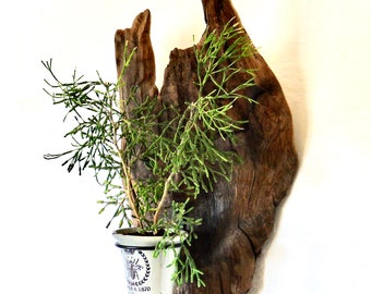 wooden hanging plant Wooden Hanging Basket — Mudfingers main image 1