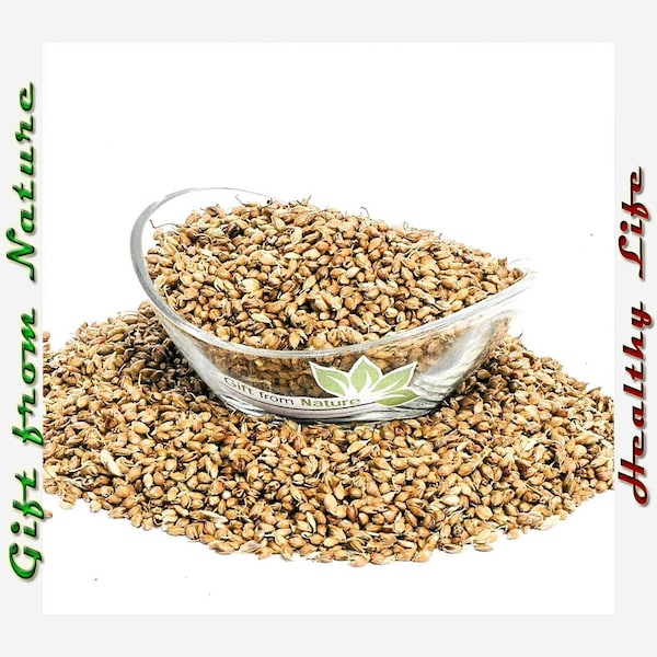 SORGHUM Seeds ORGANIC Dried Bulk Herb, Sorghum Bicolor Semens /Available qty from 2oz-4lbs/