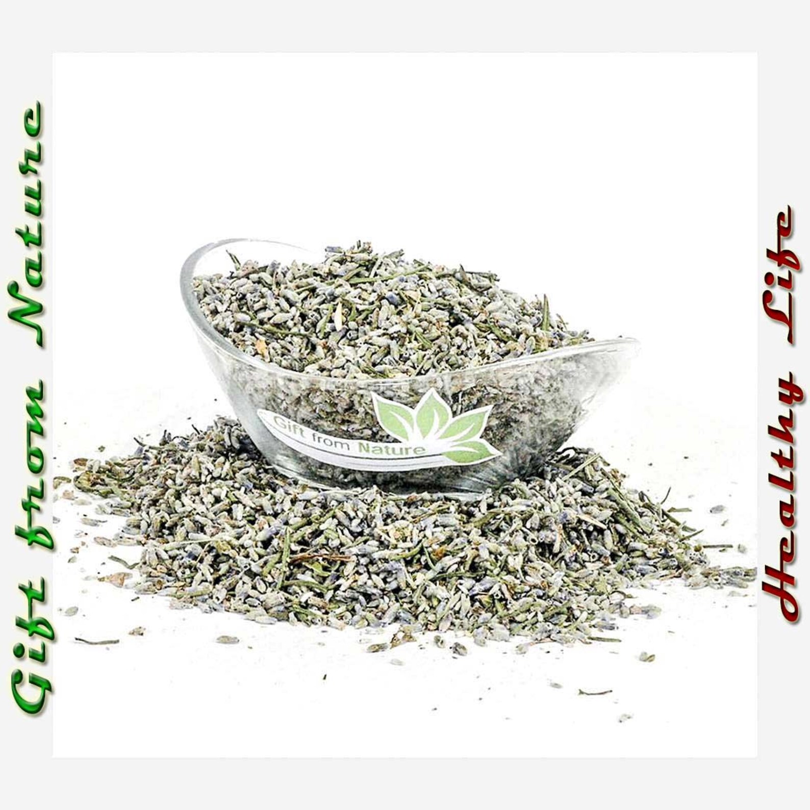 Lavender plants in bulk
