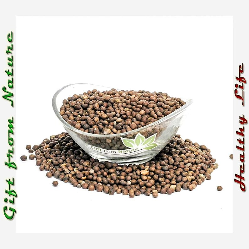 BITTER VETCH Seeds 8oz 227g ORGANIC Dried Bulk Herb, Vicia Ervilia Semens /Available qty from 2oz-4lbs/ image 1