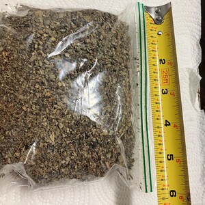 Mullein FREE SHIPPING Natural Fresh Raw Dried, Organic.