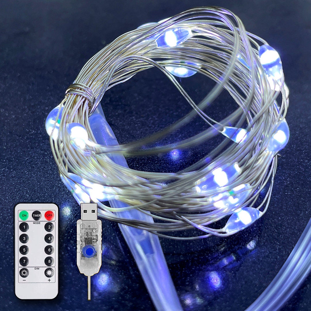 100 Led Fairy String Light USB Operated With Remote for Party, DIY ...