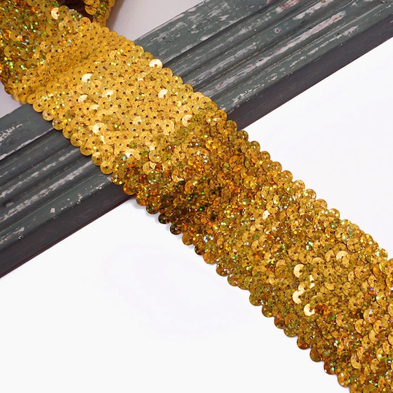 2 Row Metallic Stretch Sequin Trim (7/8) (Sold by the Yard) - Trims By The  Yard
