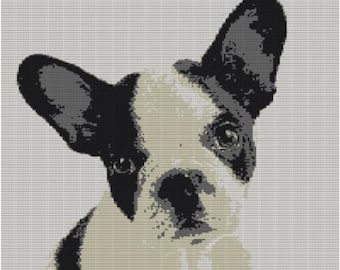 CUSTOM DOG PORTRAIT Crochet Pattern, Personalized Pet Graphgan, Crochet Afghan Dog Photo Pattern, Written Instructions Included
