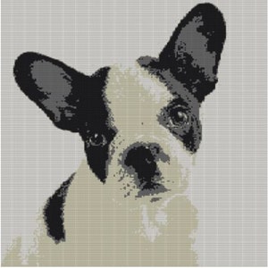 CUSTOM DOG PORTRAIT Crochet Pattern Personalized Pet - Etsy