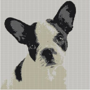 CUSTOM DOG PORTRAIT Crochet Pattern, Personalized Pet Graphgan, Crochet Afghan Dog Photo Pattern, Written Instructions Included