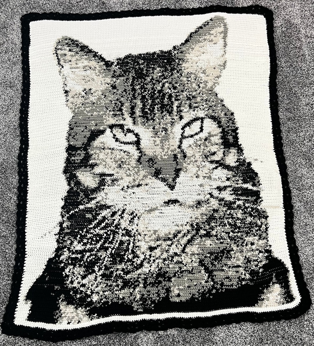 Custom Cat Portrait Crochet Pattern: Pet Graphgan (written Instructions ...