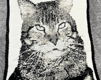 CUSTOM CAT PORTRAIT Crochet Pattern, Pet Graphgan, Cat Picture Crochet Pattern, Cat Lover Graphgan, Written Instructions Included