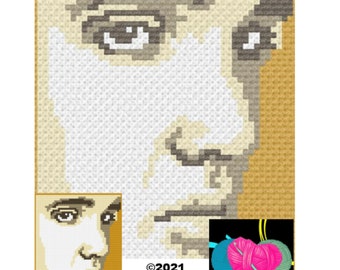 C2C ELVIS CROCHET GRAPHGAN With Free Written Instructions Crochet Pattern Portrait Crochet Pillow Pattern Small Graphgan Pillow Crochet