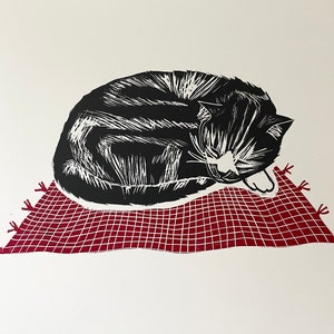Cat on a mat