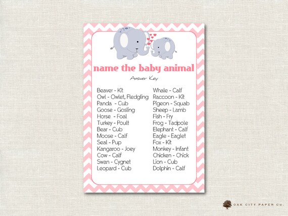 Pink Name the Baby Animal Baby - Etsy
